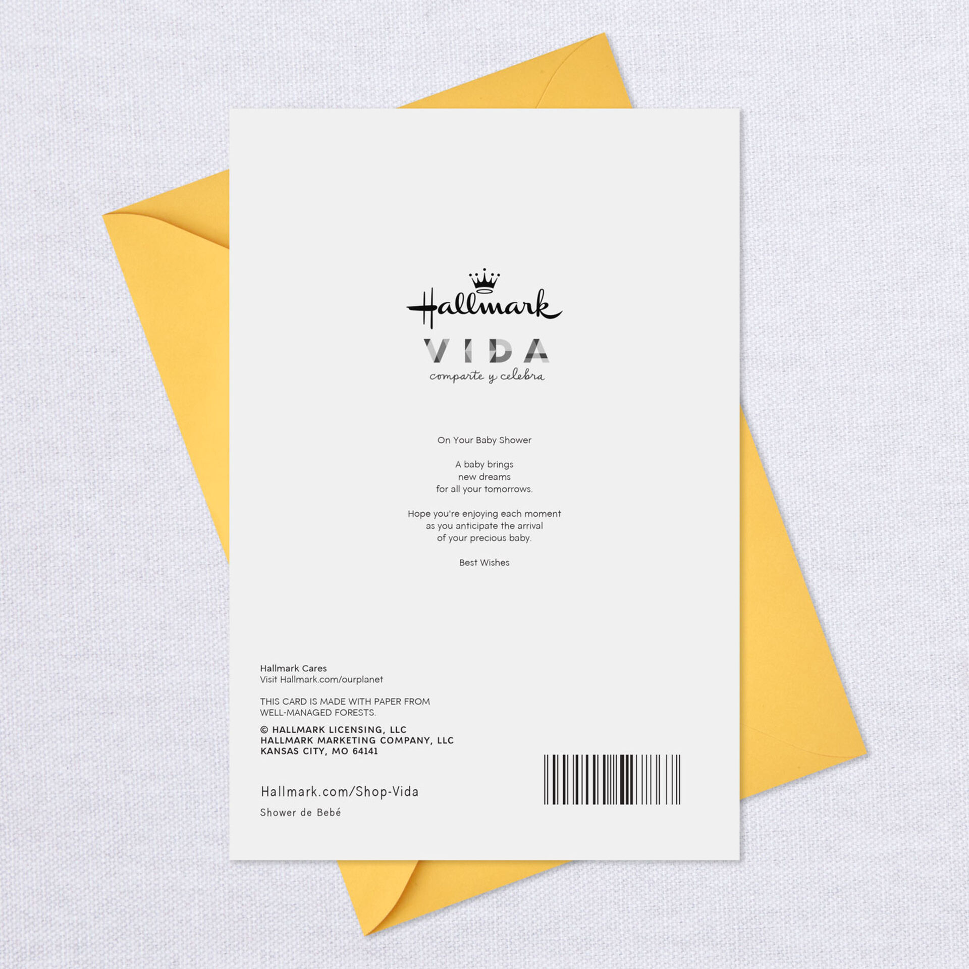 New Dreams For Your Tomorrows Spanish Language Baby Shower Card